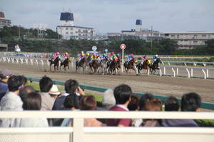 funabashikeiba nitterehai 103.jpg